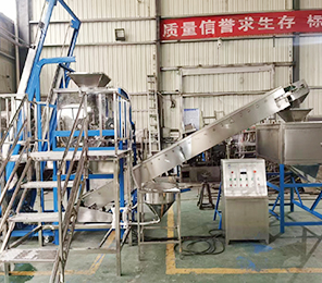 洗（xǐ）衣粉生產（chǎn）線-05